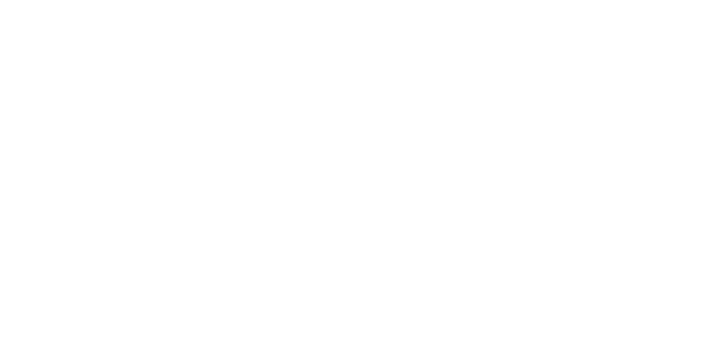 Strykcam logo - white